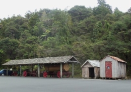 Kauri log, bushmans hut